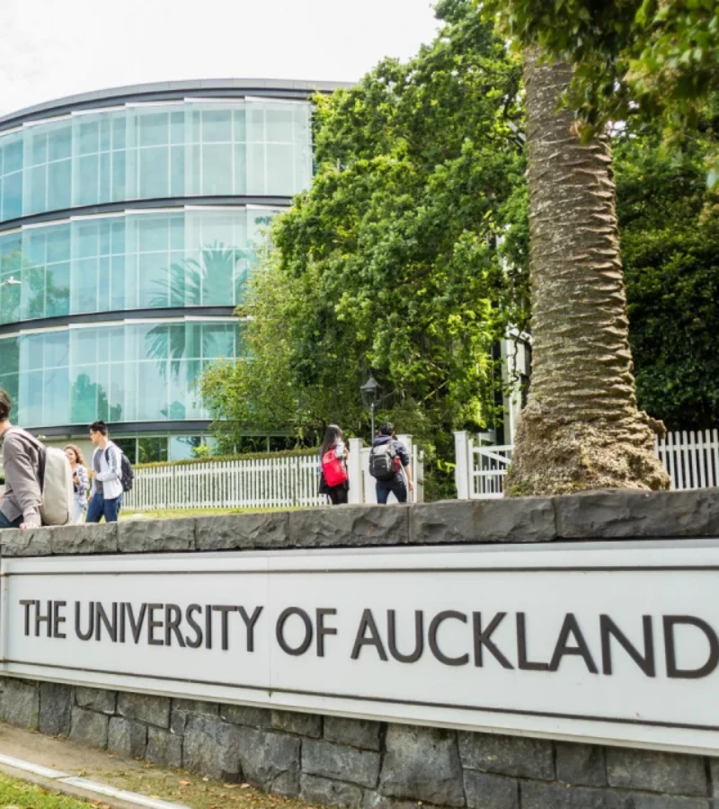 University-of-Auckland-1